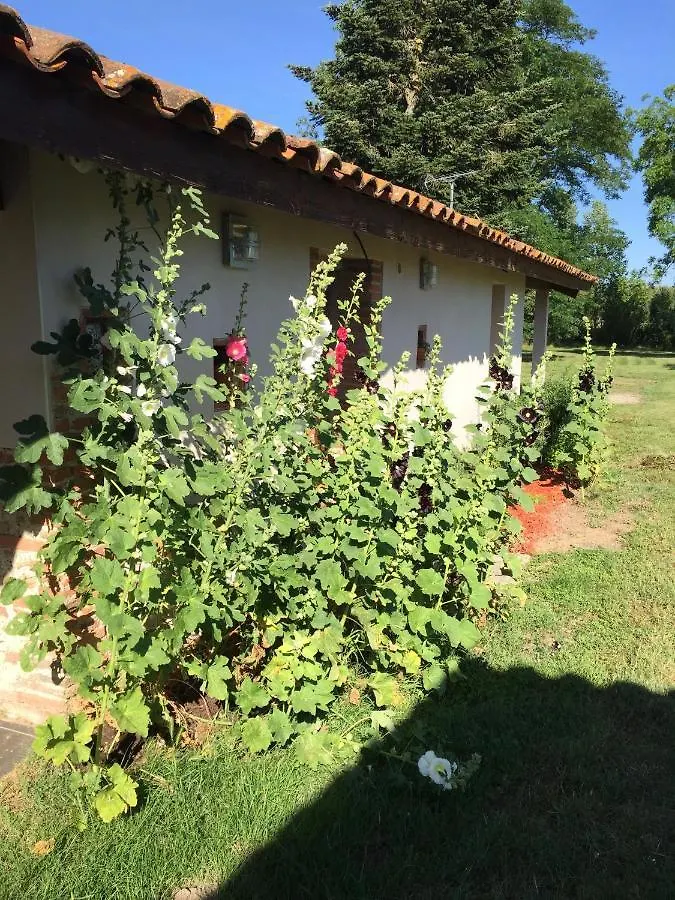 Location Gite 4 Personnes Mazeres - La Petite Maison Mazeres (Ariege)