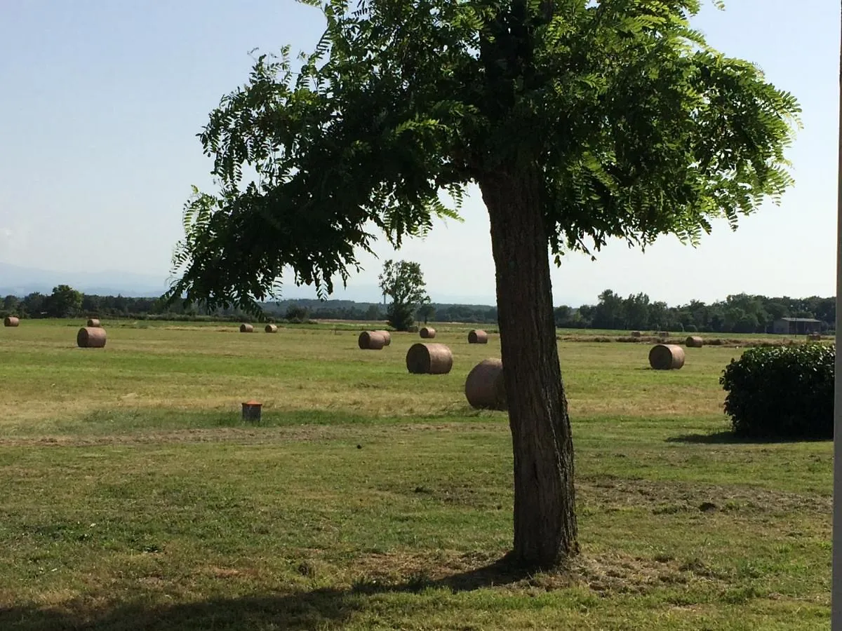 Location Gite 4 Personnes Mazeres - La Petite Maison France