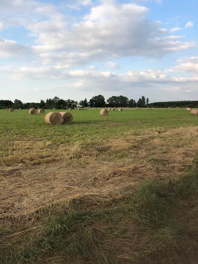 Location Gite 4 Personnes Mazeres - La Petite Maison 0*, Mazères
